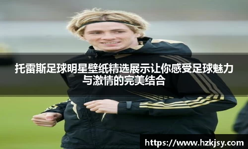 托雷斯足球明星壁纸精选展示让你感受足球魅力与激情的完美结合
